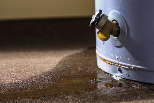 Trusted University Gardens, NY Water damage restoration Experts