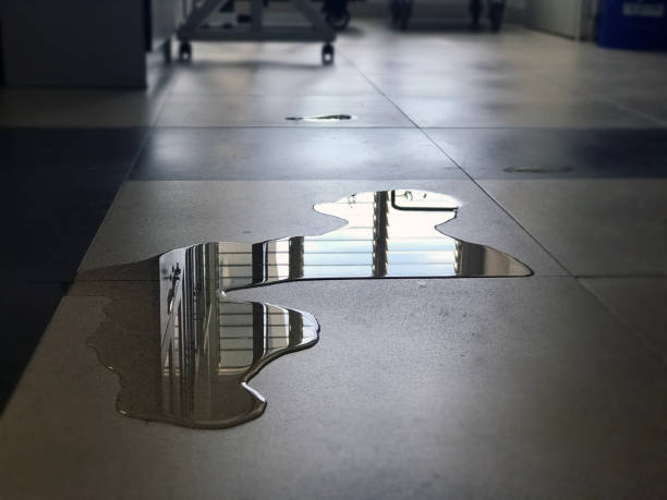 Best Professional water damage repair  in University Gardens, NY