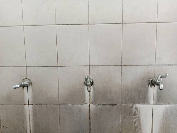 Best 24/7 water damage repair  in University Gardens, NY