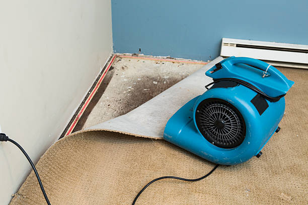 Best Water damage restoration near me  in University Gardens, NY